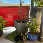 Terrasse Apartamento *