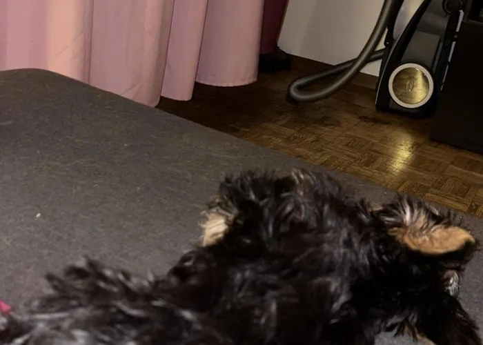 Terrasse Appartement Territet