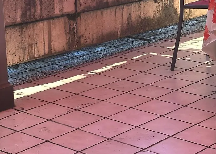 Appartement Terrasse