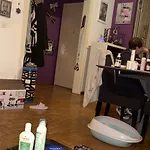 Terrasse Apartment Territet