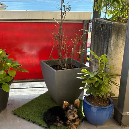 Terrasse Appartement *
