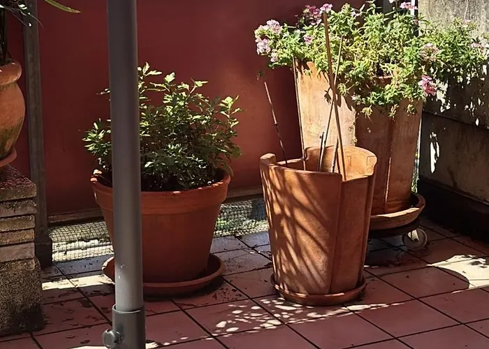 Διαμέρισμα Terrasse Territet